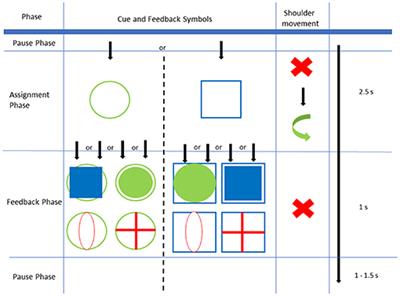 Differences in Characteristics of Error-Related Potentials Between Individuals With Spinal Cord Injury and Age- and Sex-Matched Able-Bodied Controls